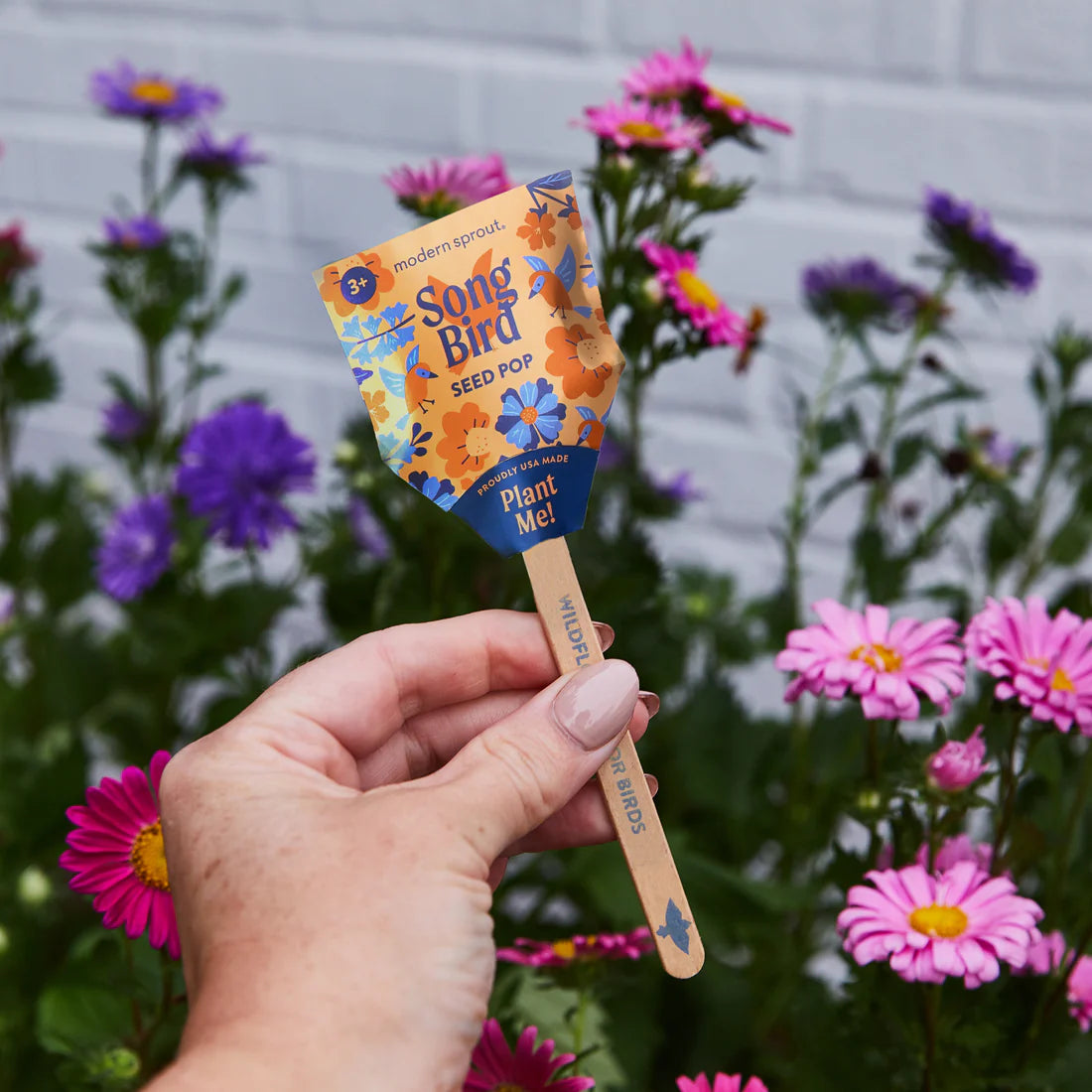 Pollinator Seed Pops