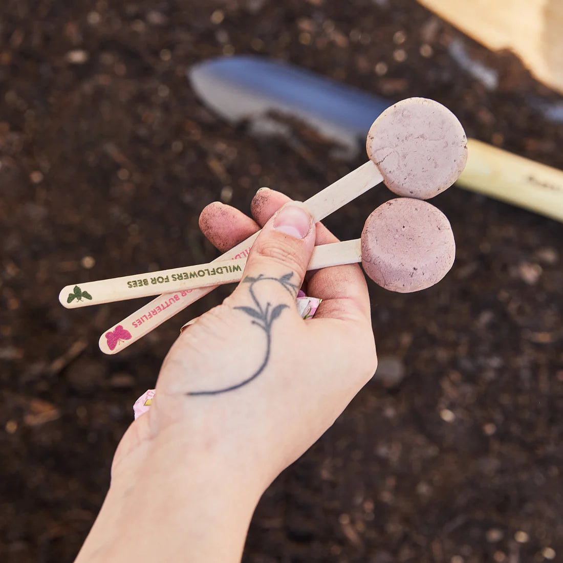 Pollinator Seed Pops