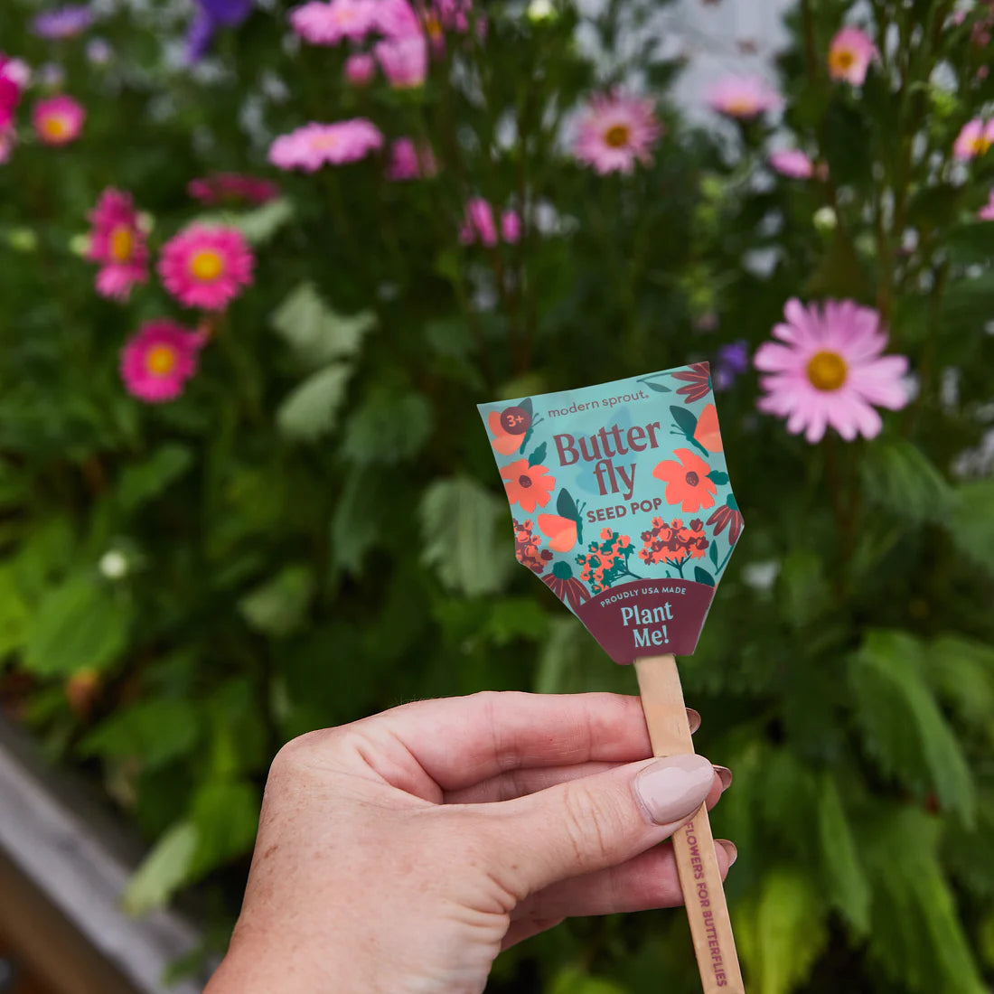 Pollinator Seed Pops